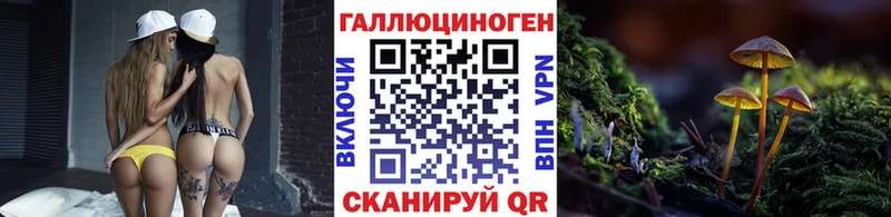 мориарти наркотические препараты  Кунгур  Галлюциногенные грибы Psilocybine cubensis  наркотики 